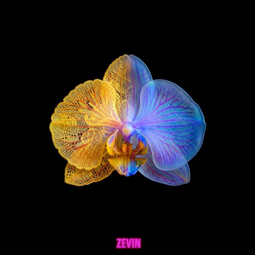 ZEVIN