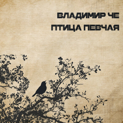 ВЛАДИМИР ЧЕ